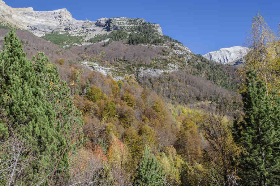 Huesca - parque nacional de Ordesa y Monte Perdido - valle de Pineta 30.jpg